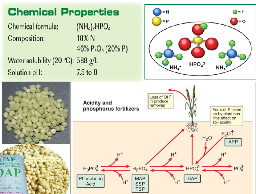what is in dap fertilizer chemical makeup explained simple for crops