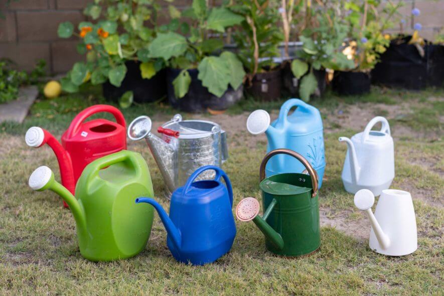 Best Watering Can 1 Gallon Top Picks for Easy Garden Watering