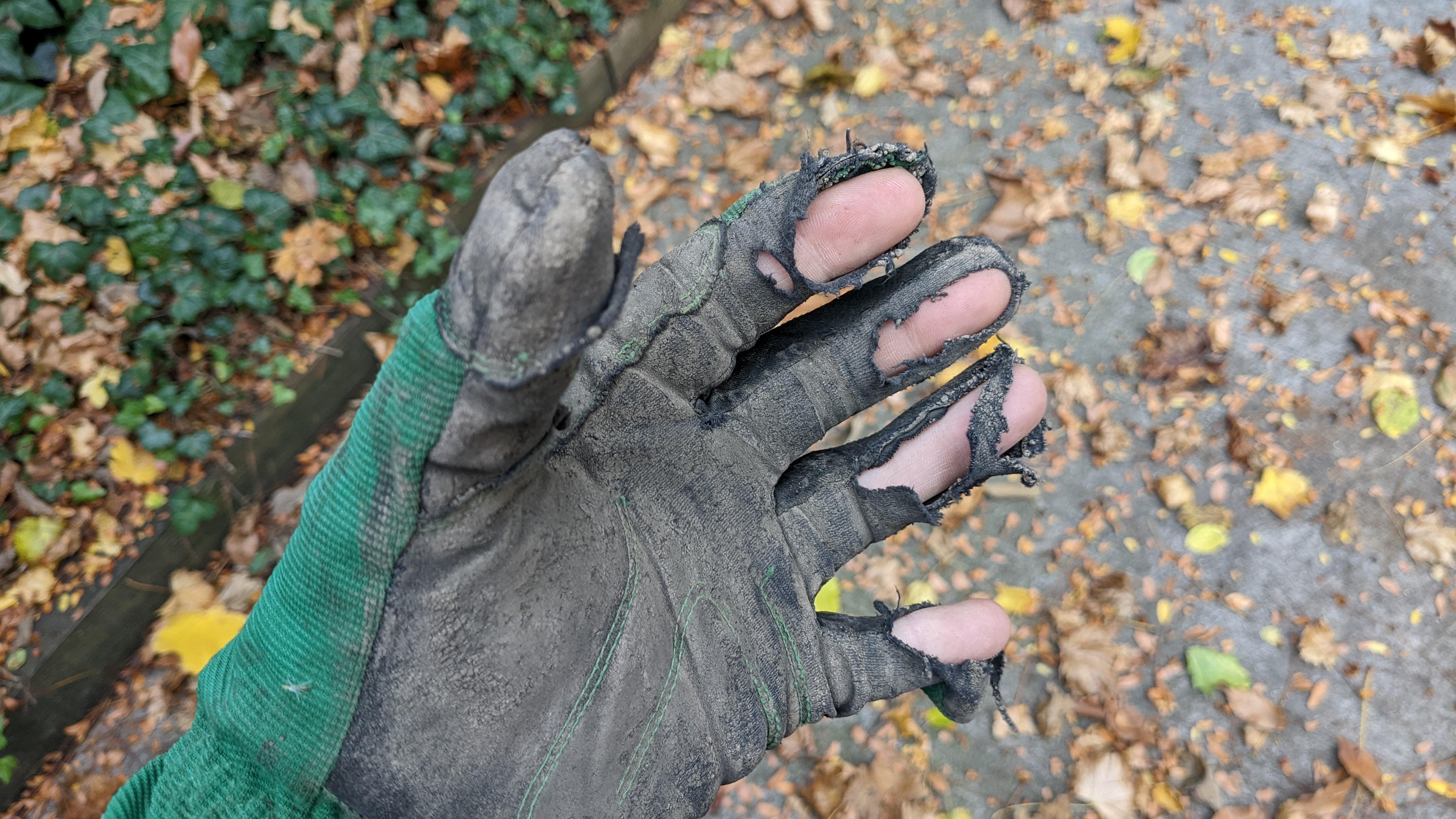 Why My Atlas Gardening Gloves Tearing Easy Fixes and Care Tips