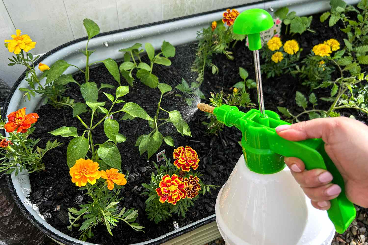 Best Fertilizer Pump Brands Review (Top 5 Picks for Your Garden Now)