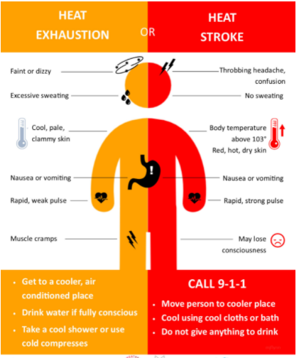 feels like vs actual temperature why different - weather factors explained