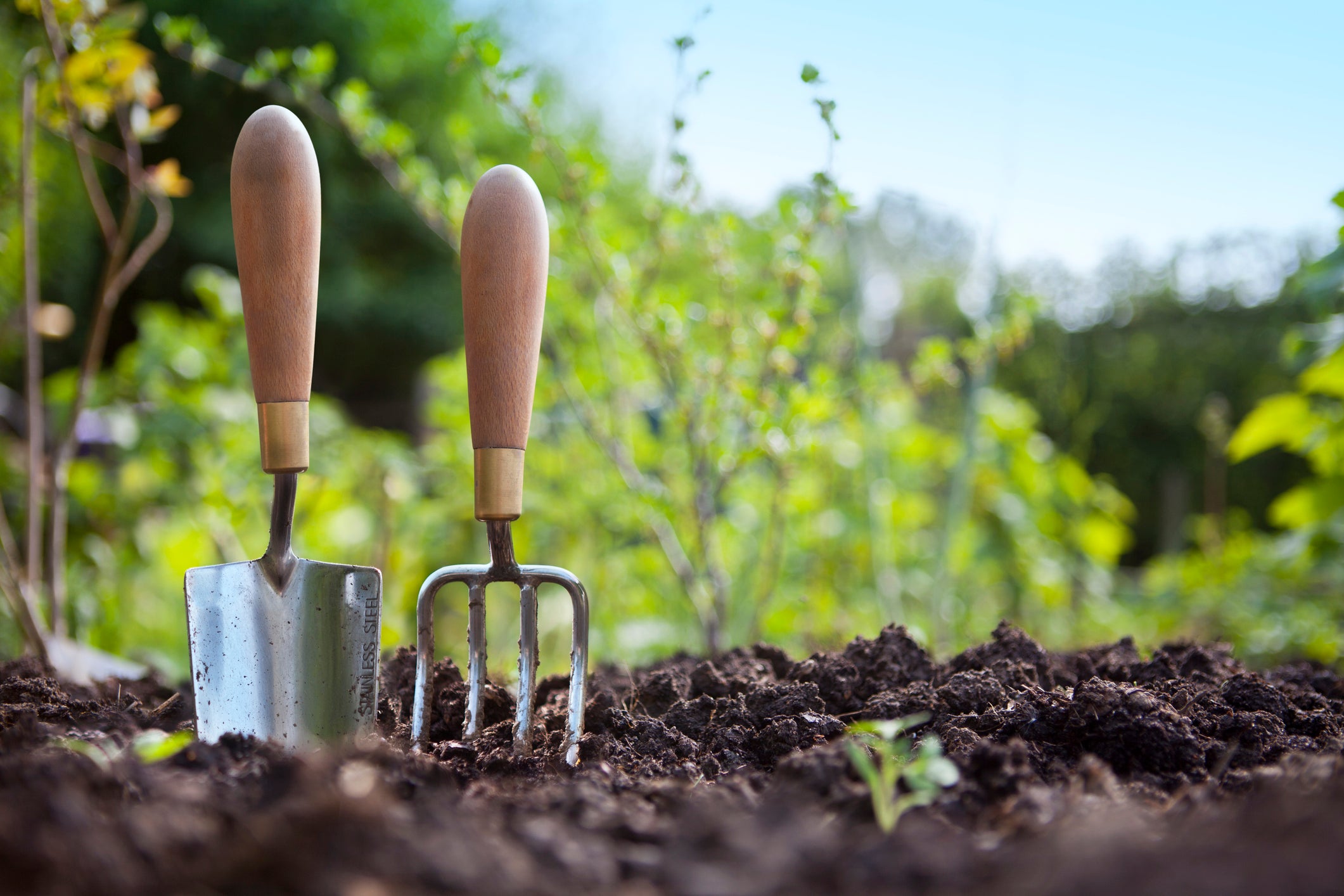 Where to find best Japanese gardening tools? Compare top choices for your garden