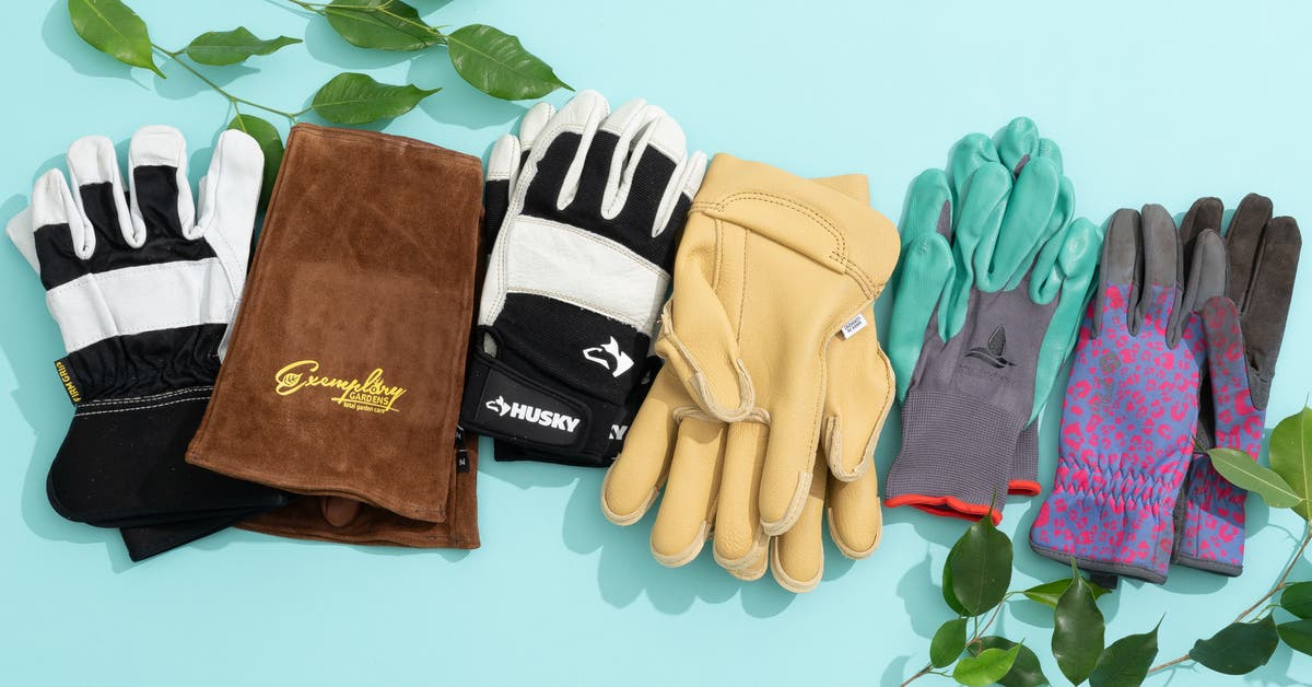 Best Gardening Gloves Women Need? Find the Top 5 Comfort Picks Now!