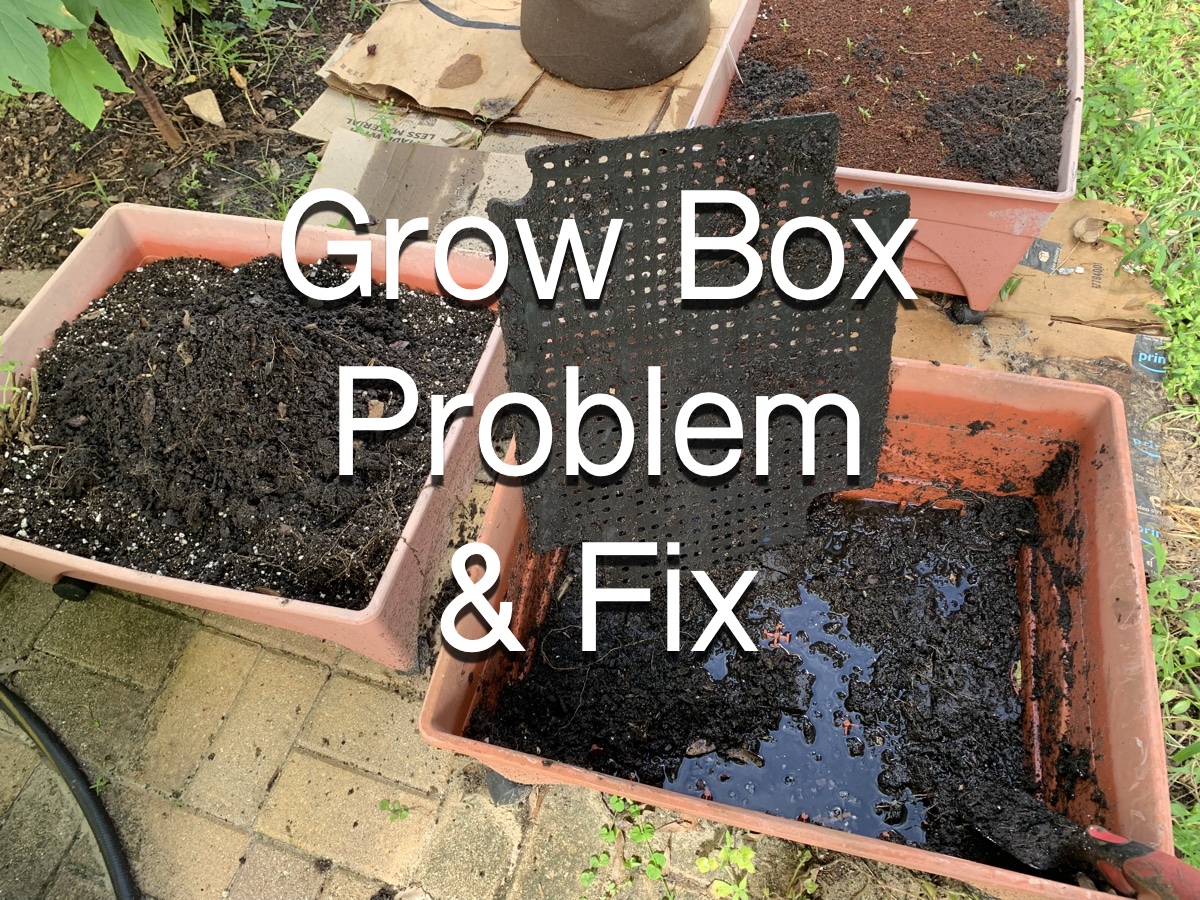 Blue Flowerpot Drainage Problems Fix Wet Soil Fast Simple Ways