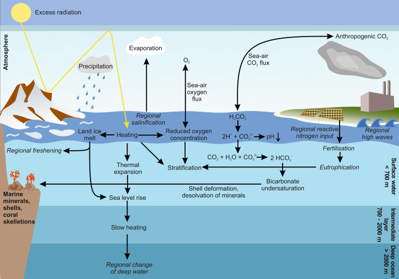 Why ocean temperature Santa Cruz CA matters? (Key factors affecting marine life)