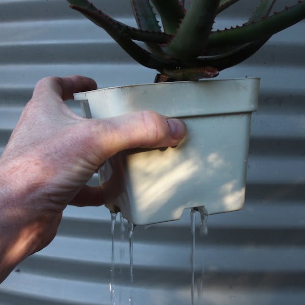 Blue Flowerpot Drainage Problems Fix Wet Soil Fast Simple Ways